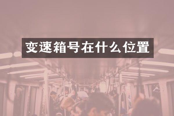 变速箱号在什么位置
