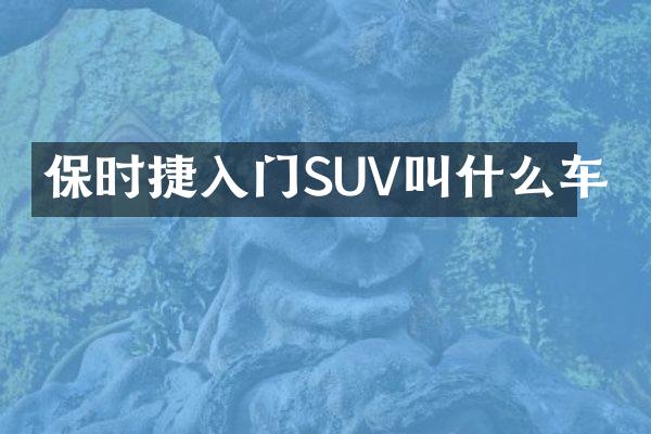保时捷入门SUV叫什么车