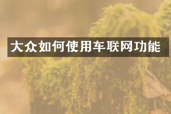 大众如何使用车联网功能