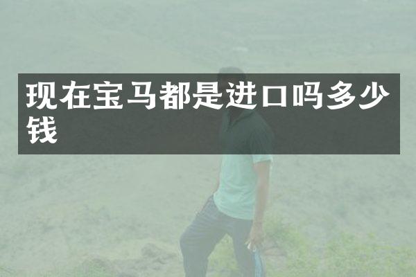 现在宝马都是进口吗多少钱