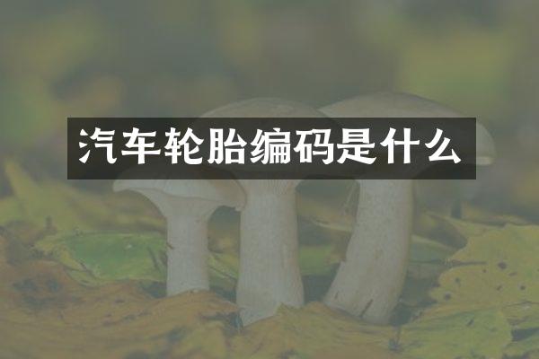 汽车轮胎编码是什么