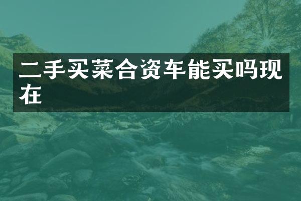二手买菜合资车能买吗现在