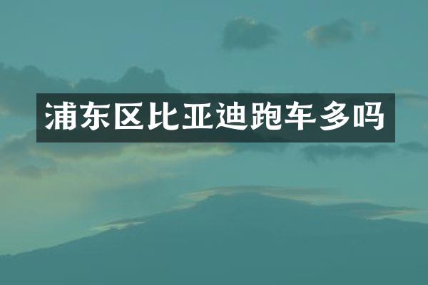 浦东区比亚迪跑车多吗