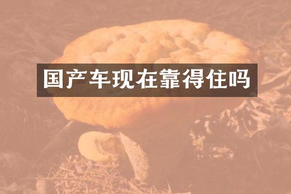 国产车现在靠得住吗