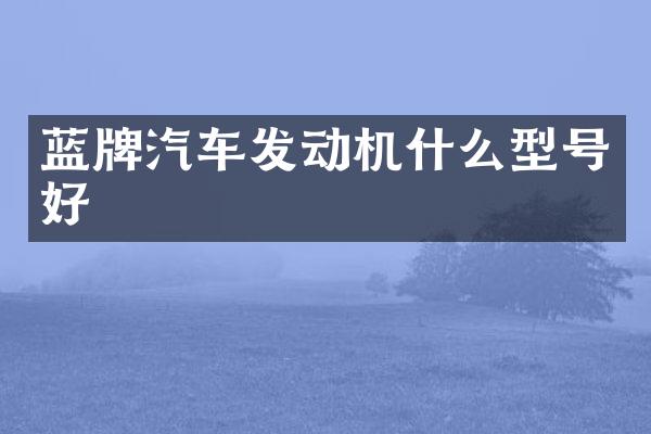 蓝牌汽车发动机什么型号好
