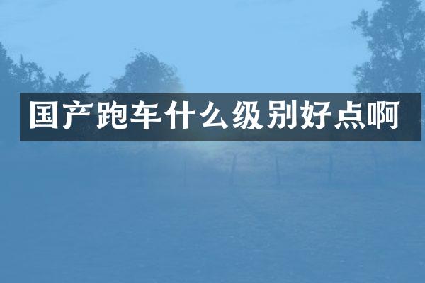 国产跑车什么级别好点啊