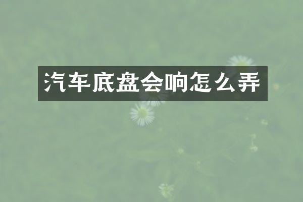 汽车底盘会响怎么弄