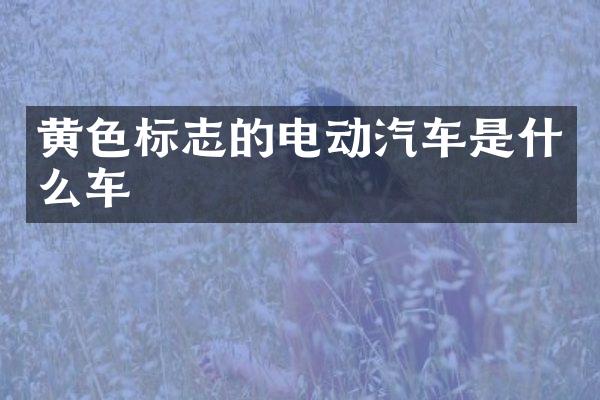 黄色标志的电动汽车是什么车