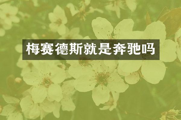 梅赛德斯就是奔驰吗