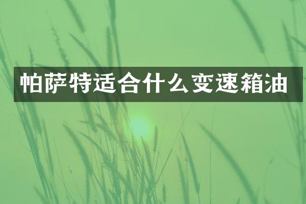 帕萨特适合什么变速箱油