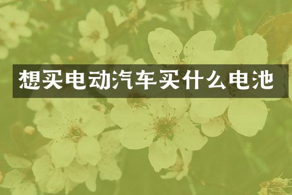 想买电动汽车电池