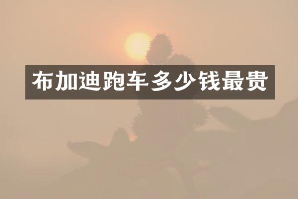 布加迪跑车多少钱最贵