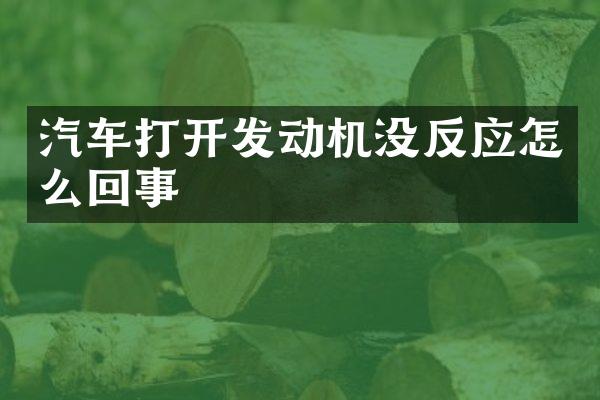汽车打开发动机没反应怎么回事