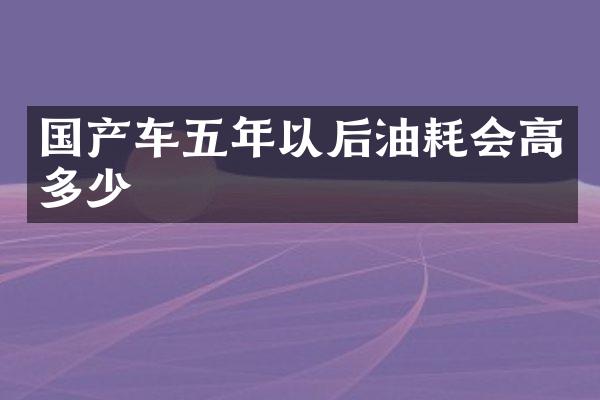 国产车五年以后油耗会高多少