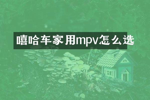 嘻哈车家用mpv怎么选