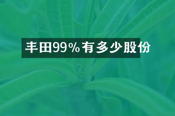 丰田99%有多少股份