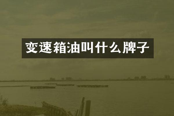 变速箱油叫什么牌子