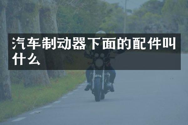 汽车制动器下面的配件叫什么