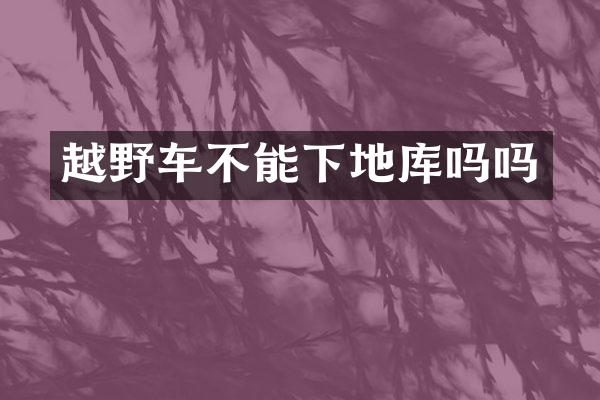 越野车不能下地库吗吗