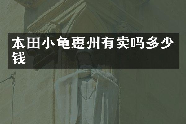 本田小龟惠州有卖吗多少钱