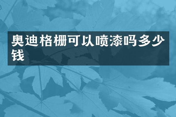 奥迪格栅可以喷漆吗多少钱