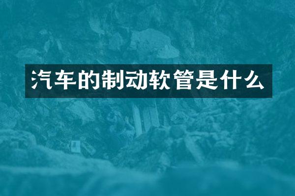 汽车的制动软管是什么