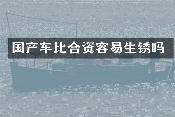 国产车比合资容易生锈吗