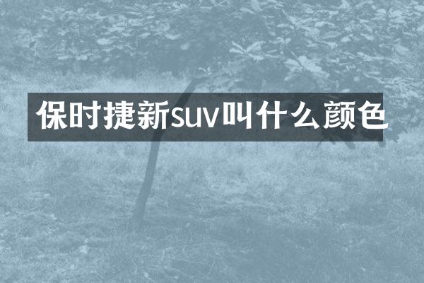 保时捷新suv叫什么颜色