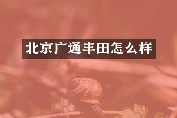 北京广通丰田怎么样