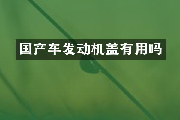 国产车发动机盖有用吗