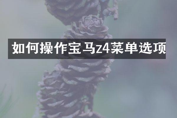 如何操作宝马z4菜单选项