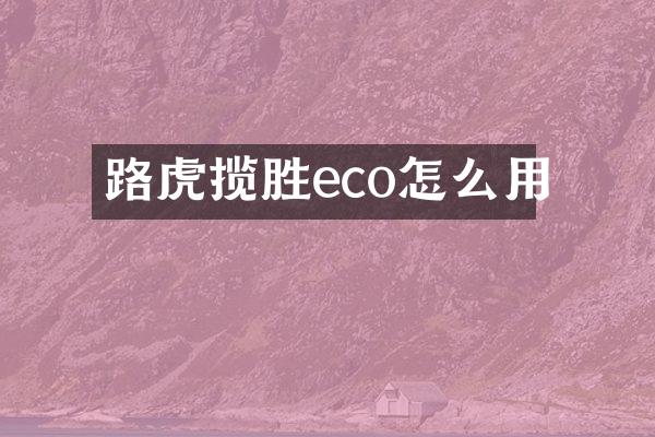路虎揽胜eco怎么用