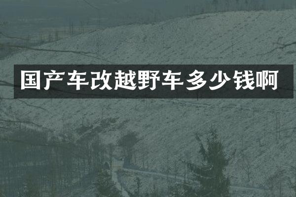 国产车改越野车多少钱啊