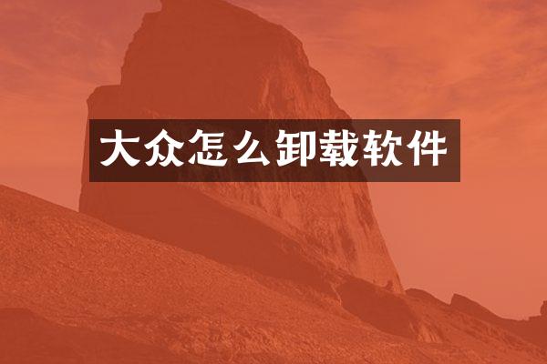 大众怎么卸载软件
