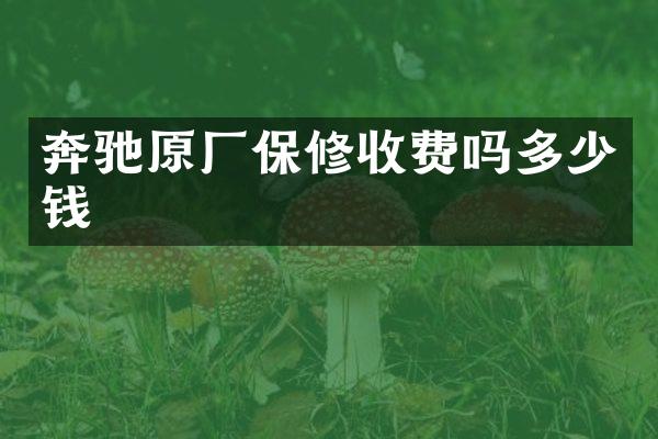 奔驰原厂保修收费吗多少钱