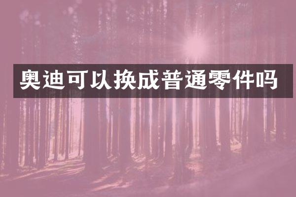 奥迪可以换成普通零件吗