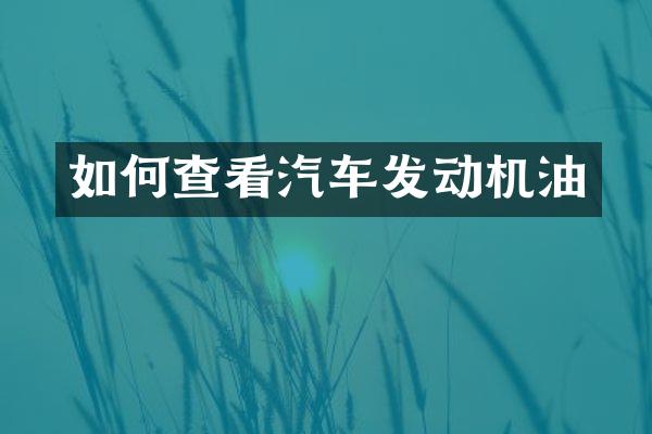 如何查看汽车发动机油
