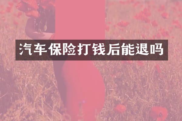 汽车保险打钱后能退吗