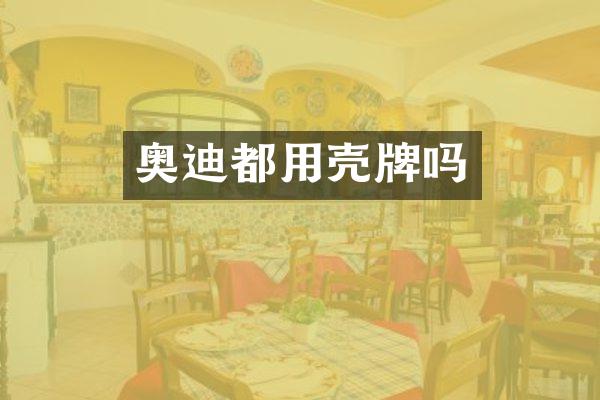 奥迪都用吗
