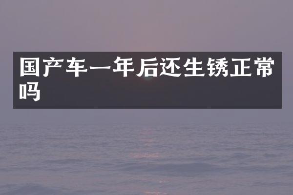 国产车一年后还生锈正常吗