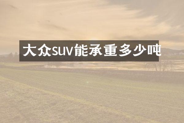 大众suv能承重多少吨