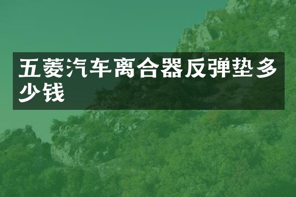 五菱汽车离合器反弹垫多少钱