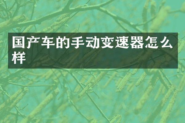 国产车的手动变速器怎么样