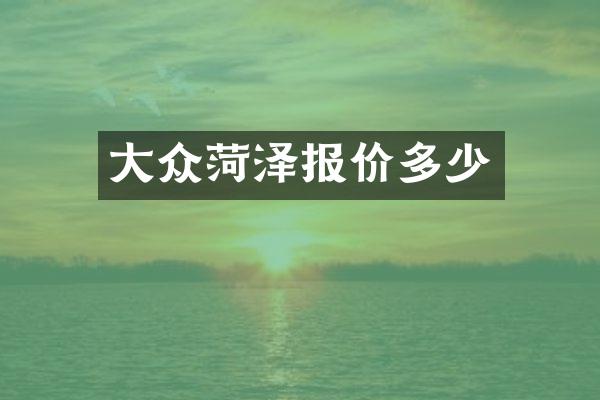 大众菏泽报价多少