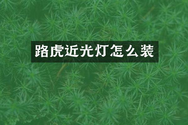 路虎近光灯怎么装