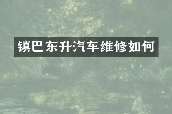 镇巴东升汽车维修如何