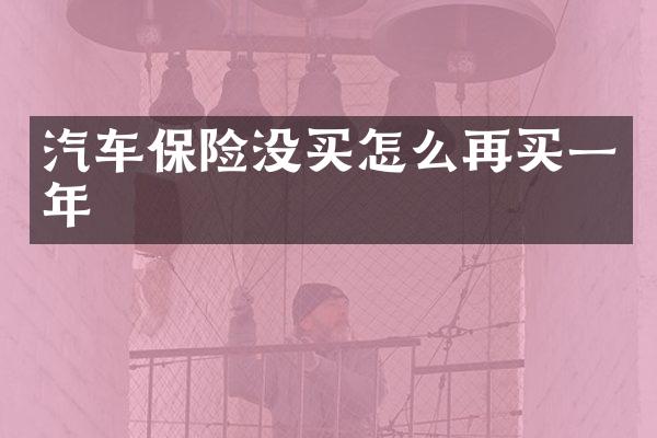 汽车保险没买怎么再买一年