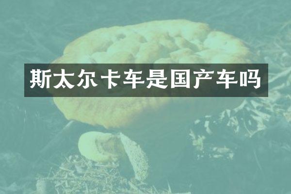 斯太尔卡车是国产车吗
