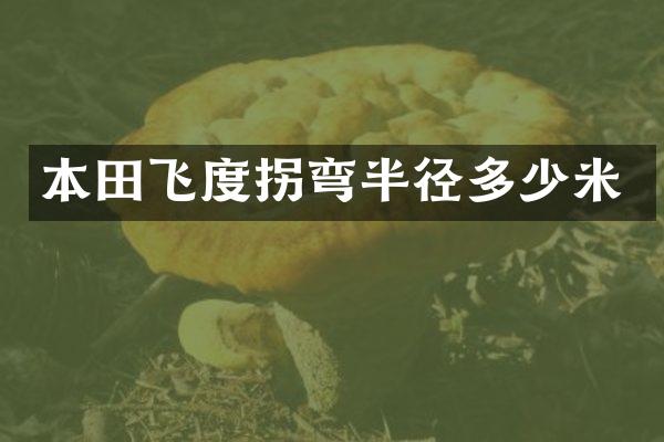 本田飞度拐弯半径多少米