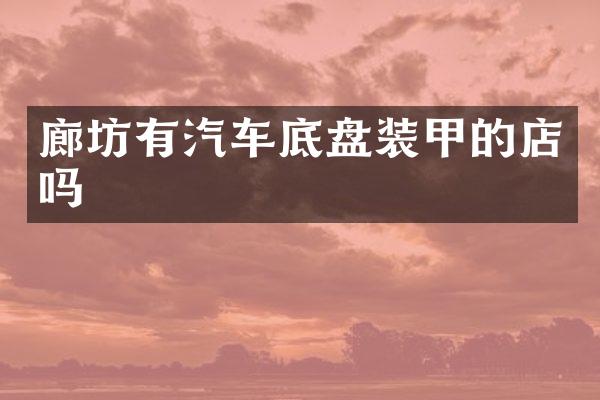 廊坊有汽车底盘装甲的店吗